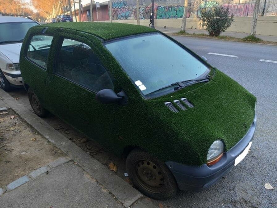 voiture, gazon, twingo