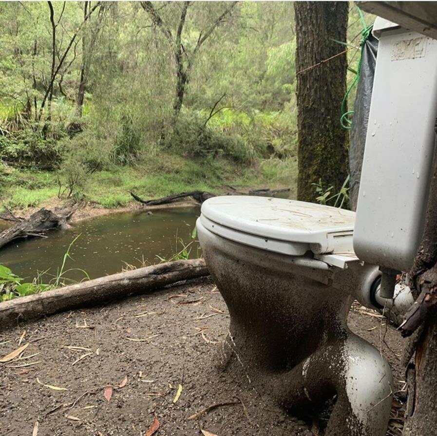 wc, forÃªt