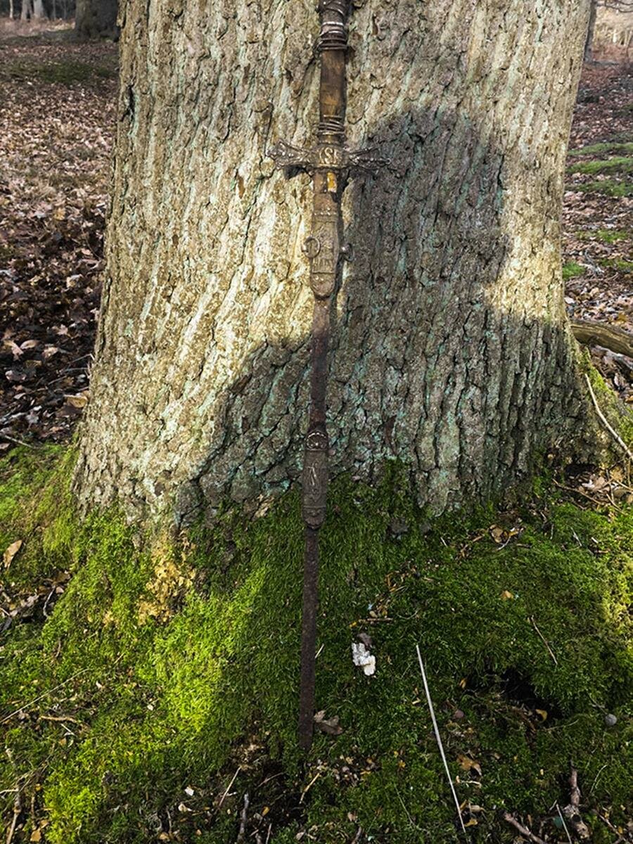 trouvaille, forêt, épée