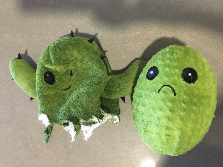 peluche cactus, heureux, triste