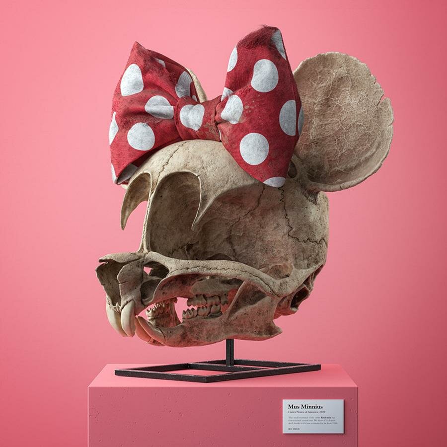 crâne, minnie, dessin 3D, filip Hodas