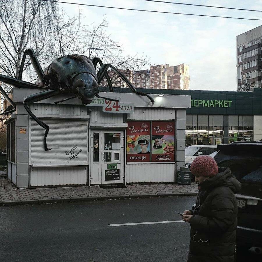 Vadim Solovyov, animaux géants, ville, insecte