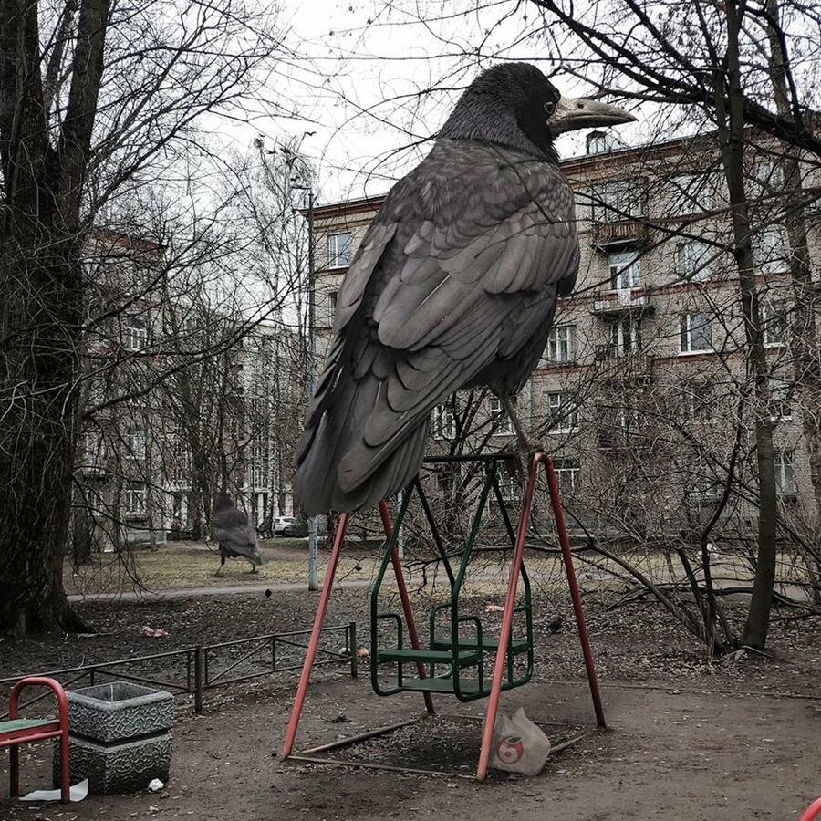 Vadim Solovyov, animaux géants, ville, oiseau