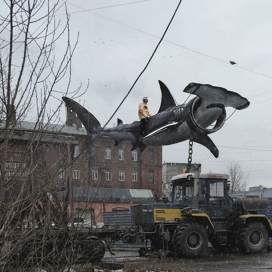 Vadim Solovyov, animaux géants, ville, requin