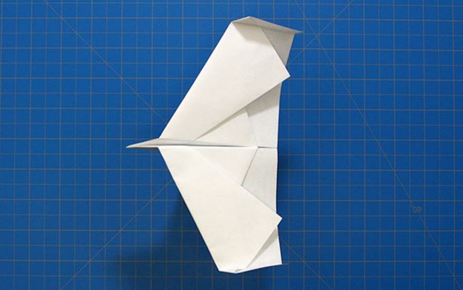 avion, papier