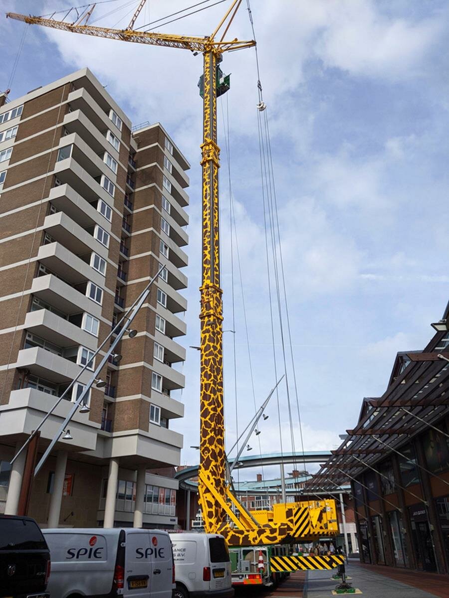 grue, girafe