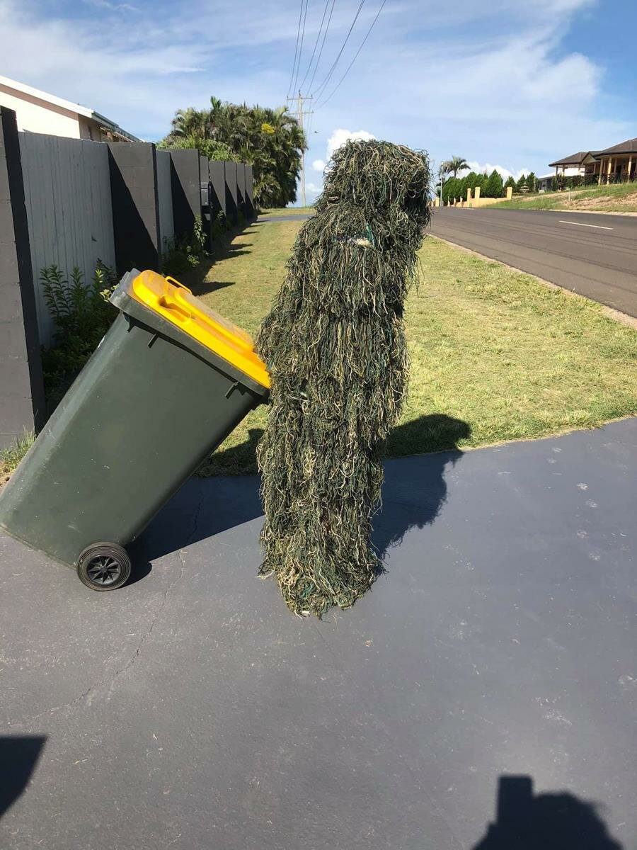 personne, déguisement, australie, poubelle