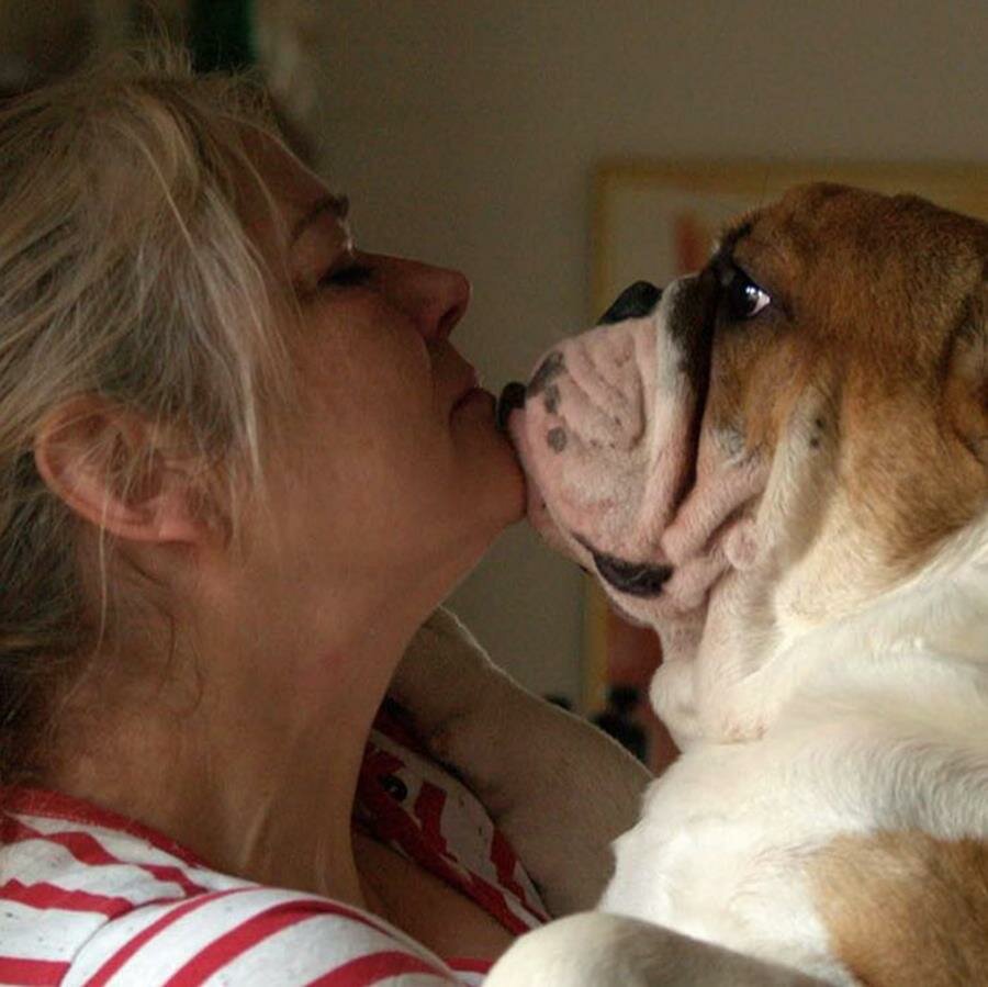 femme, câlin, chien