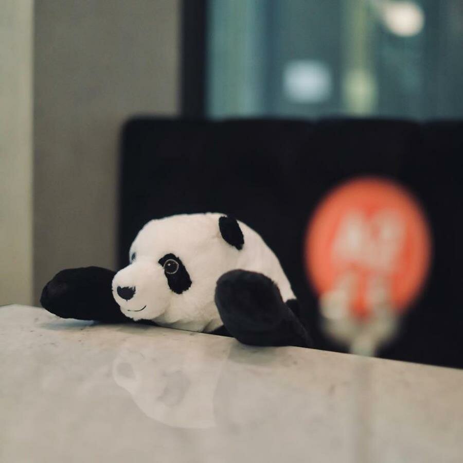 panda, restaurant