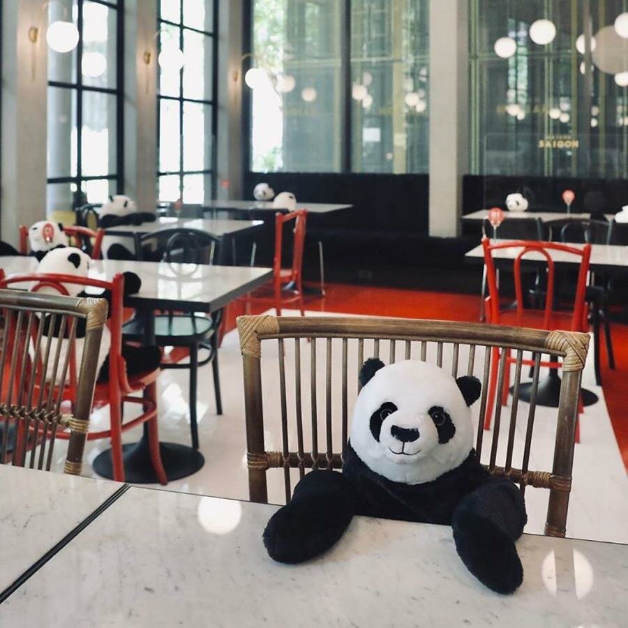 panda, restaurant