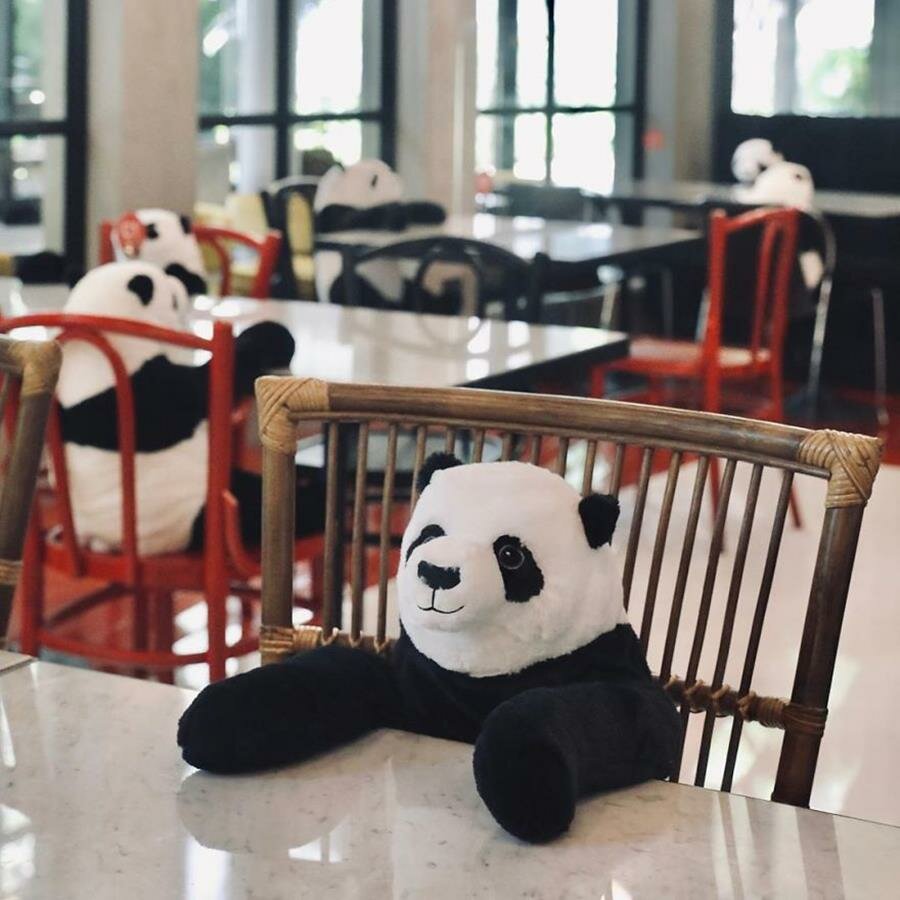 panda, restaurant