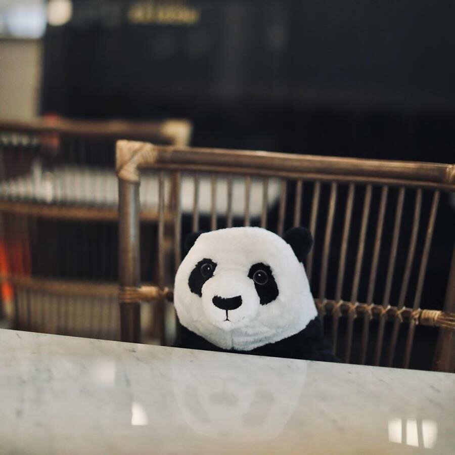 panda, restaurant