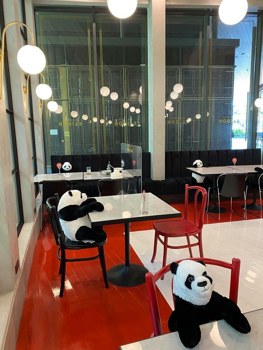 panda, restaurant