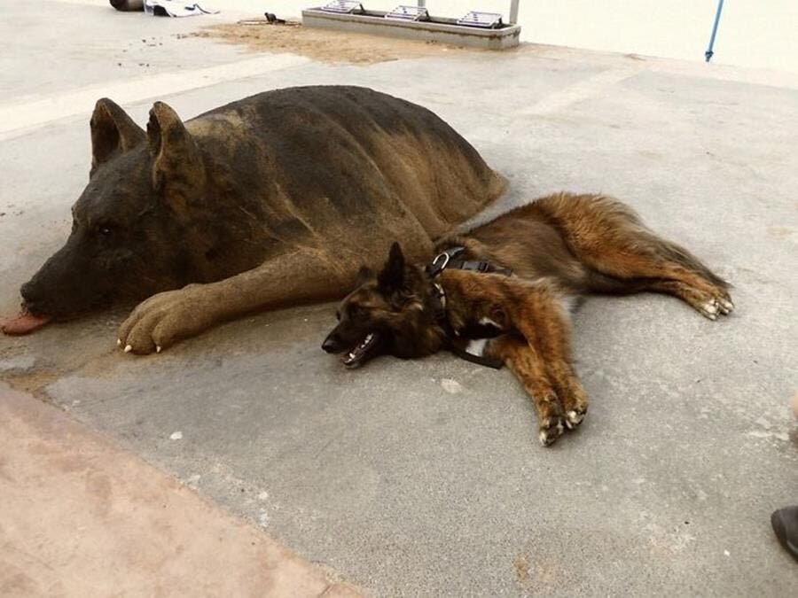 sculpture, sable, animal, andoni bastarrika, chien