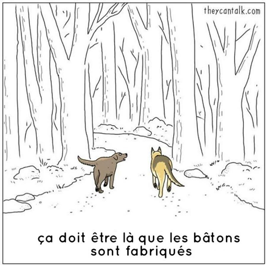 bd, animaux, parler