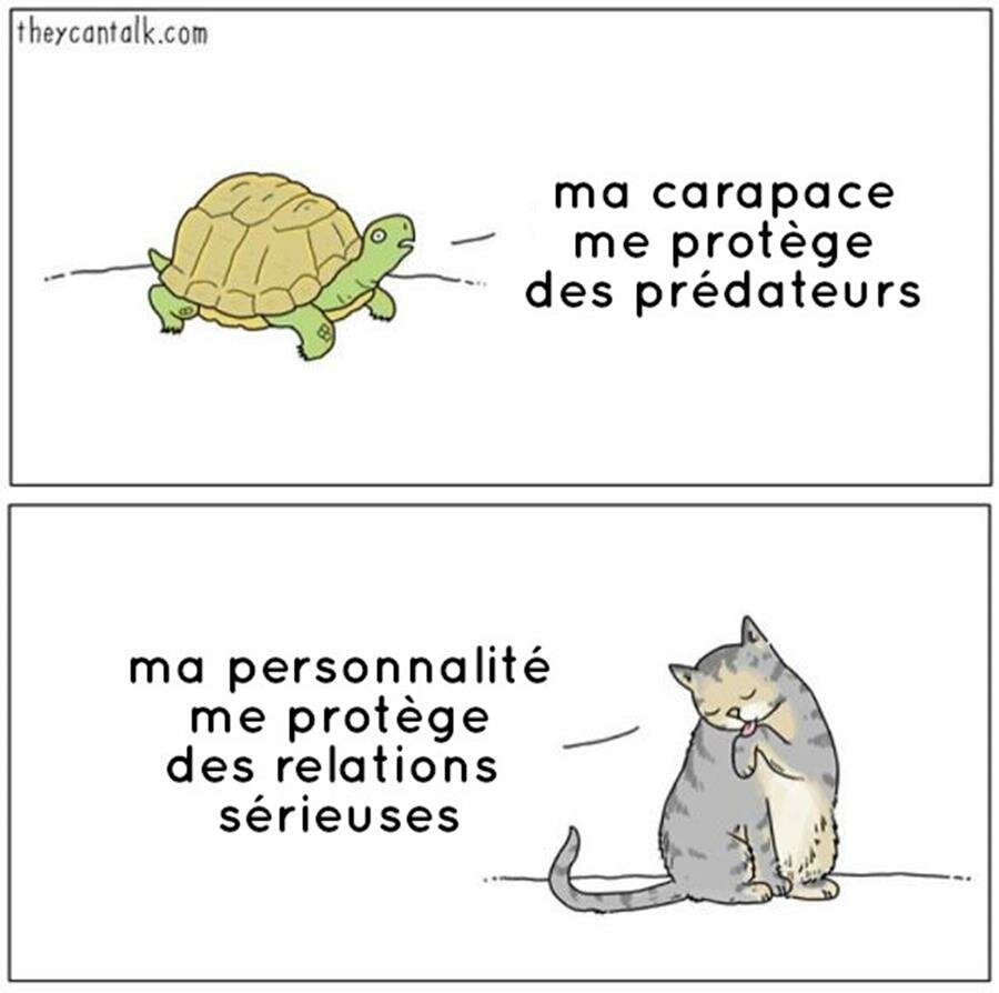 bd, animaux, parler