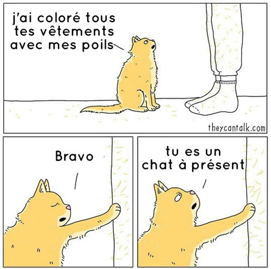 bd, animaux, parler