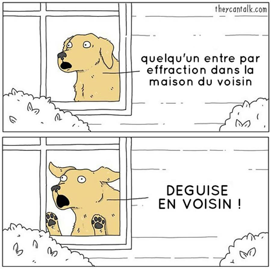 bd, animaux, parler