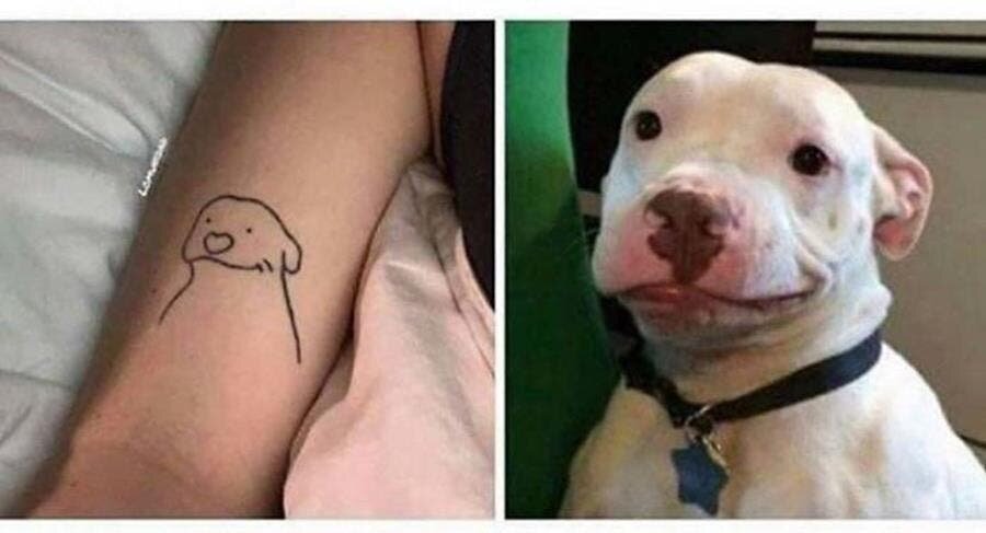 tatouage, chien, perfection