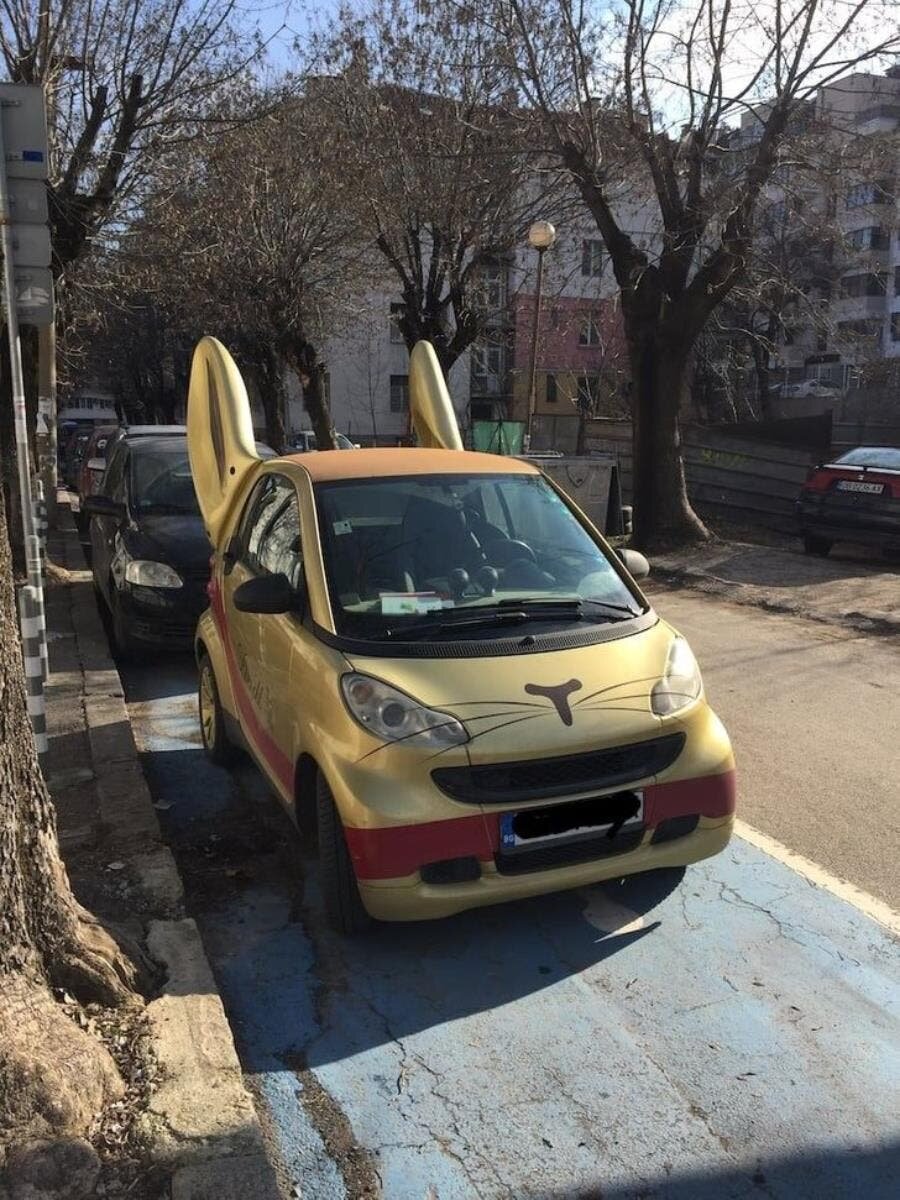 voiture, lapin, chat, mignon, moche, doré