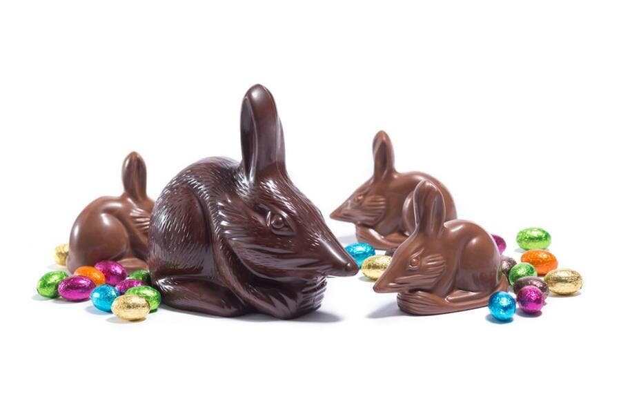 Australie, chocolat, PÃ¢ques, Bilby, mignon