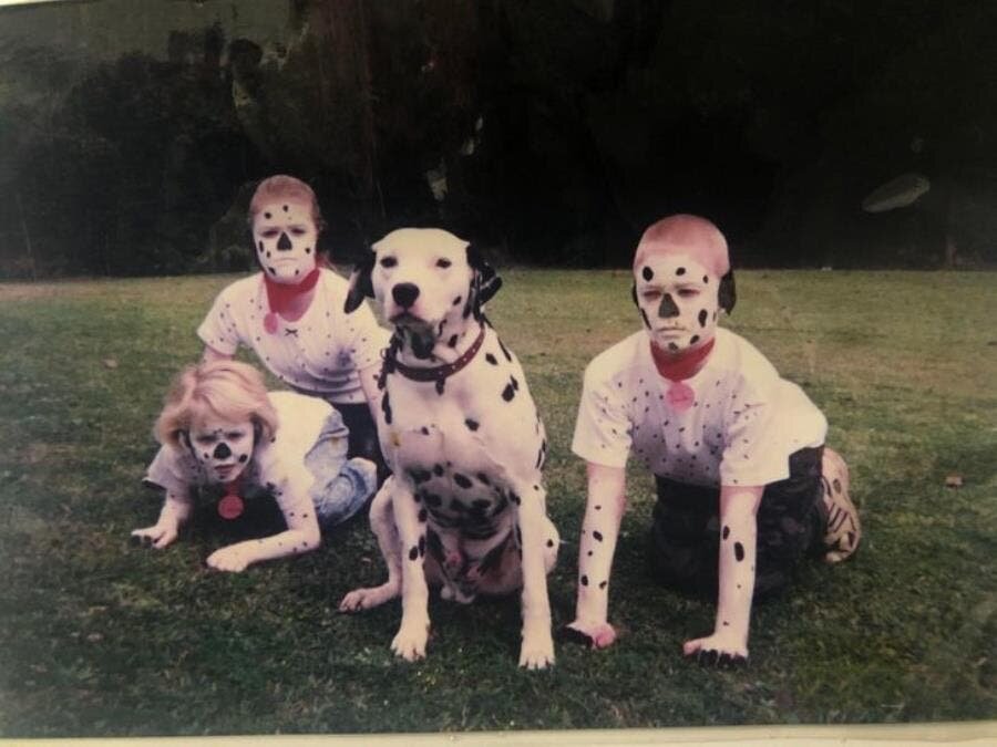 chien, dalmatien, photo, enfance