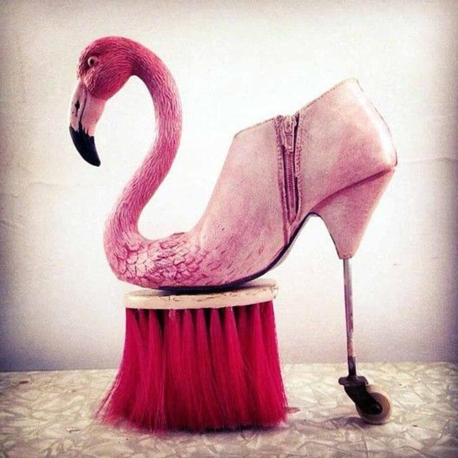 chaussures, moches, laides, bizarres, flamant, rose