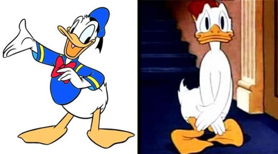 postérieur, donald, duck, chemise, pudique