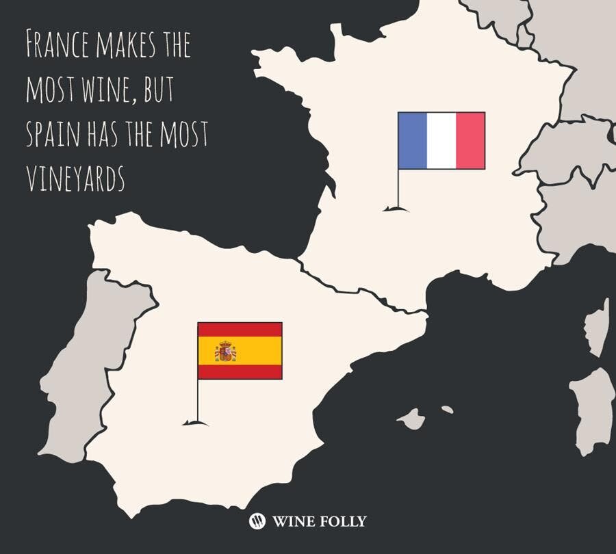 vignes, vin, France, espagne