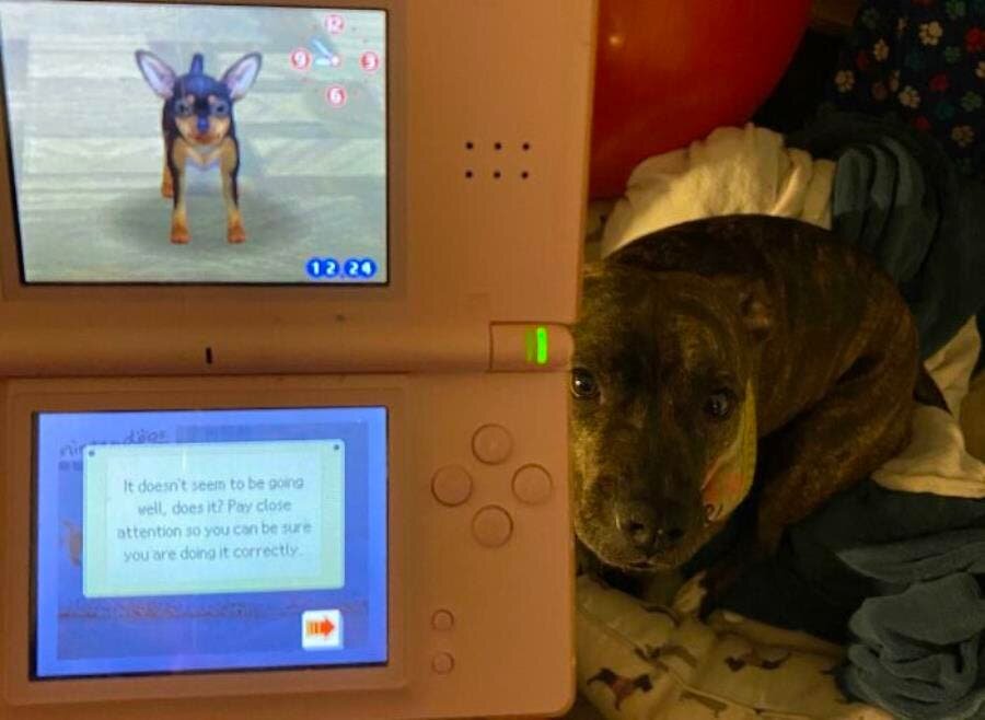 nintendo ds 