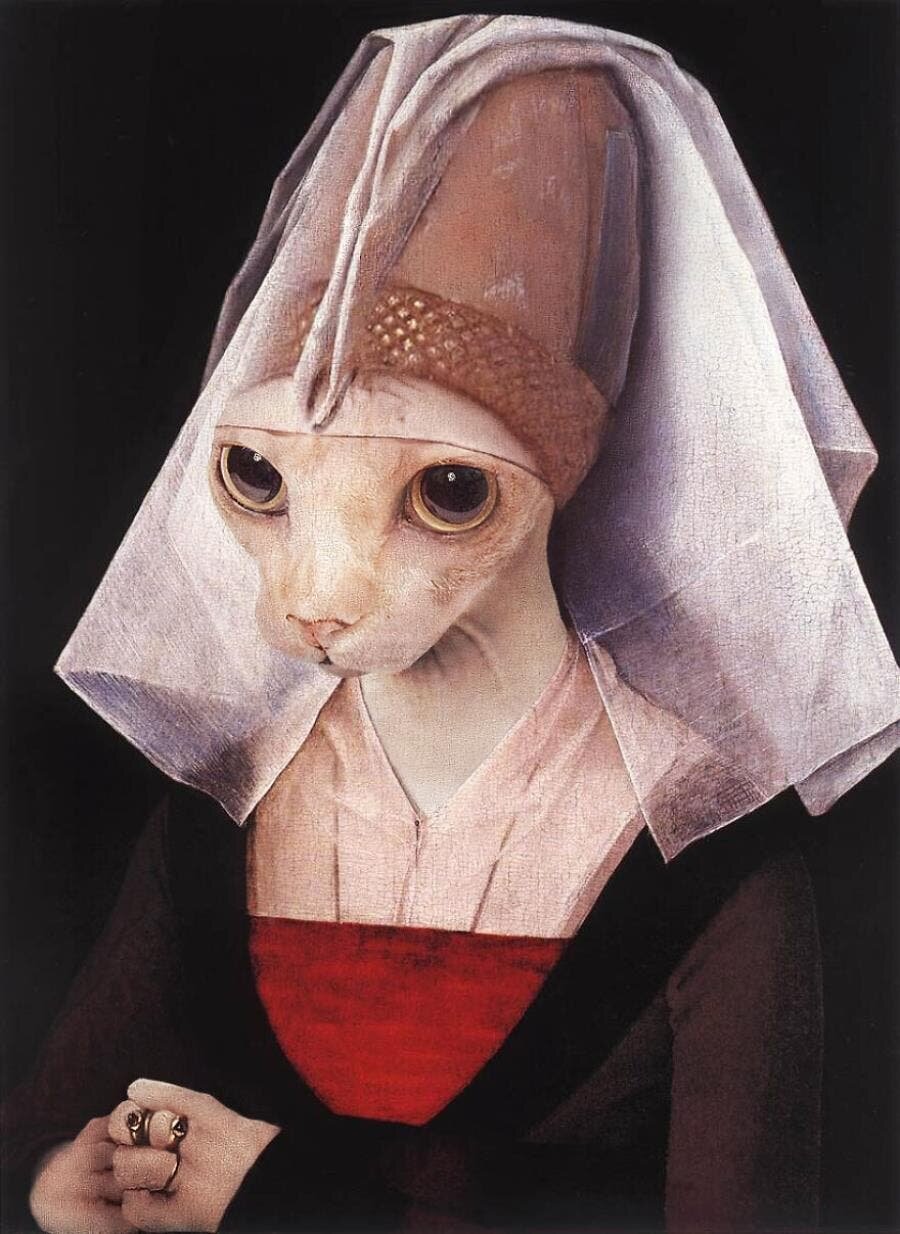 femme chat voile tableau