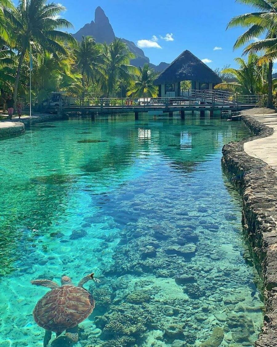 mer bora bora