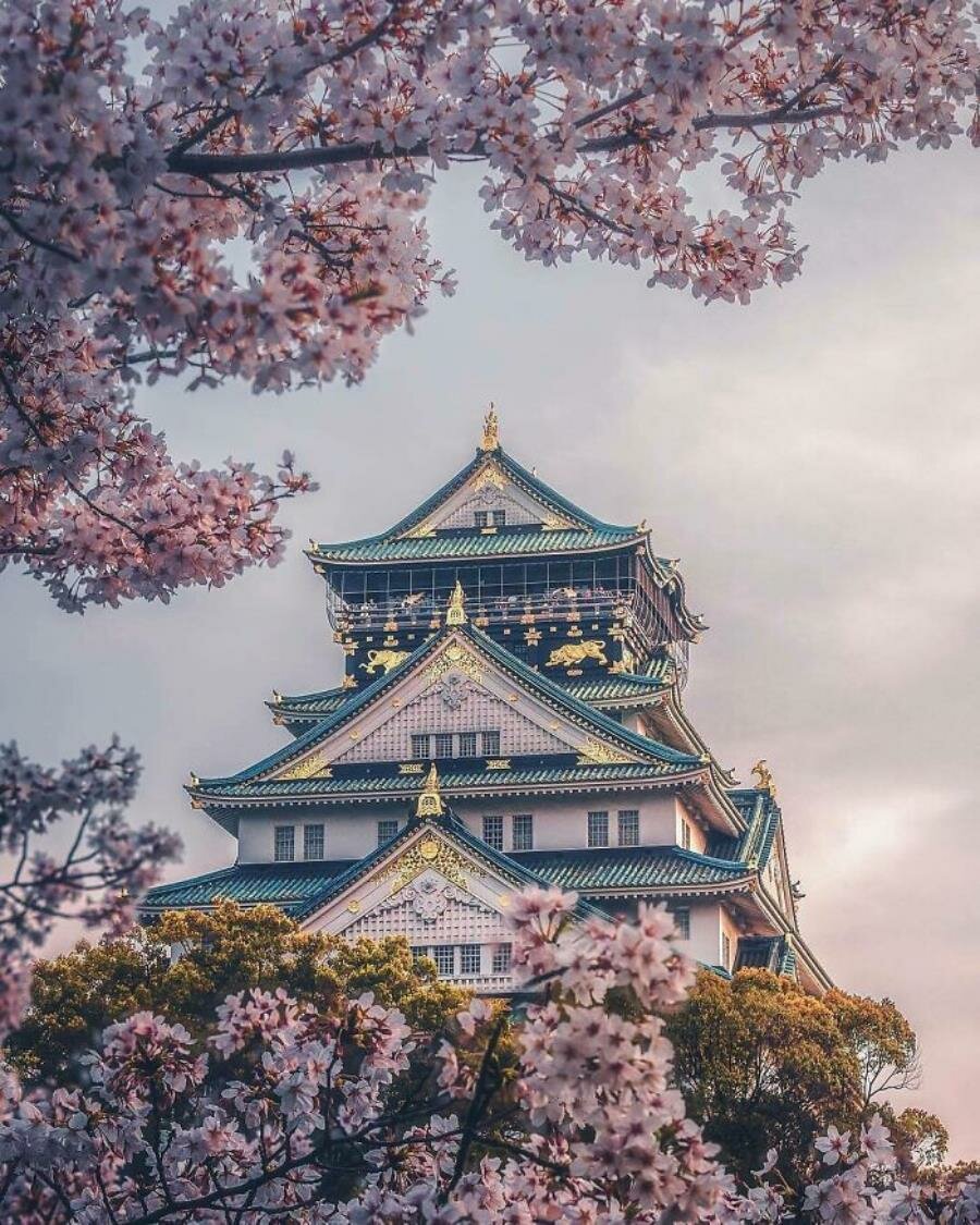 chÃ¢teau japonais 