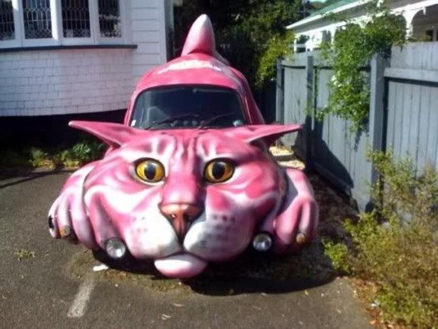 voiture chat