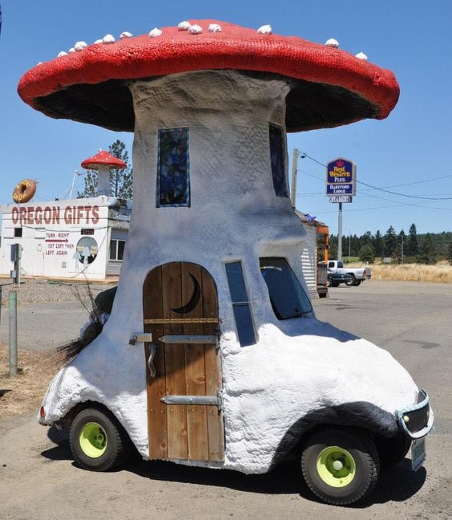 voiture champignon 