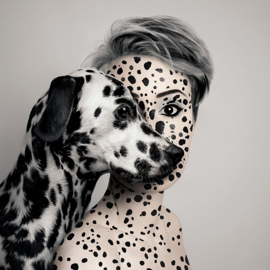 dalmatien photo