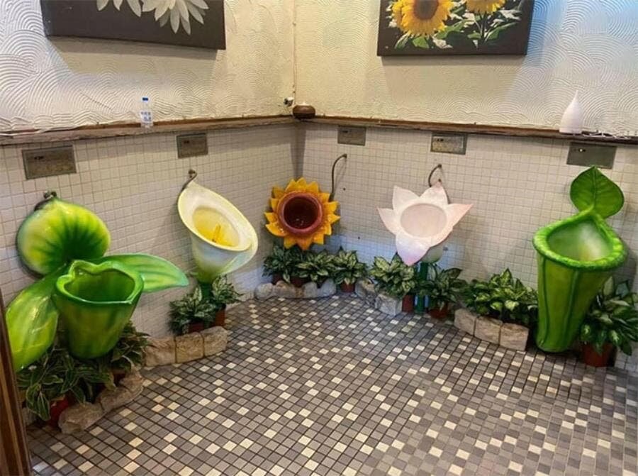 toilettes fleurs urinoirs