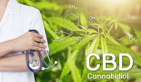 cbd huile choix cannabidiol