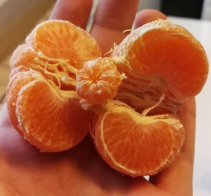 mandarine étrange bizarre