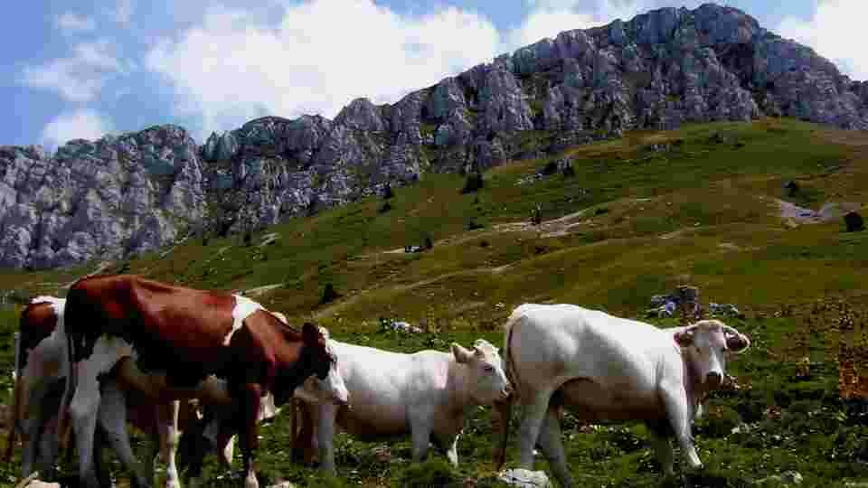 Paysage montagne horizon tiers haut sujets