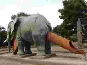 elephant, toboggan