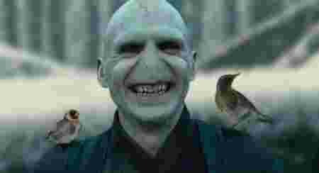 voldemort, sourire, oiseaux