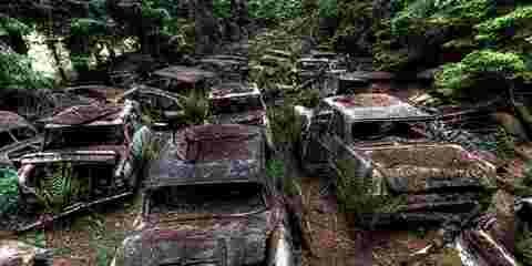 Cet embouteillage est resté coincé dans cette forêt bel...