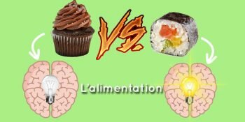 Alimentation Cerveau