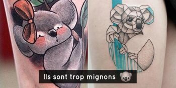 Koala Styles Tatouages