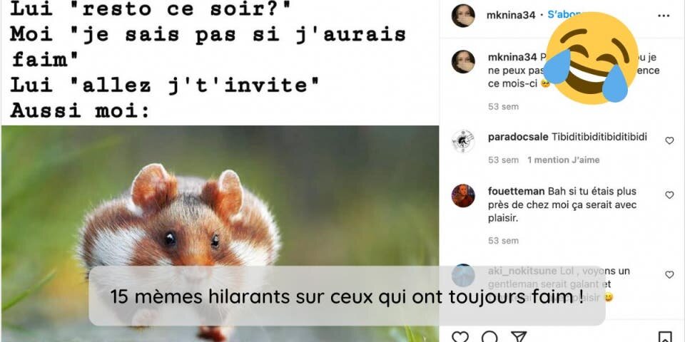 Memes Sur Les Gloutons