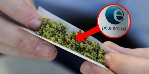 Pole Emploi Cannabis