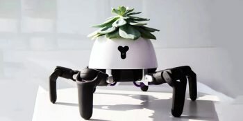 Robot Plante Camera