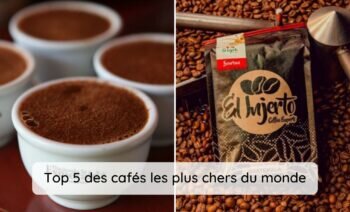 Les 5 Cafés Les Plus Chers Du Monde.