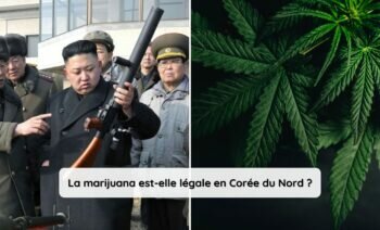 La Marijuana Est Elle Légale En Corée Du Nord